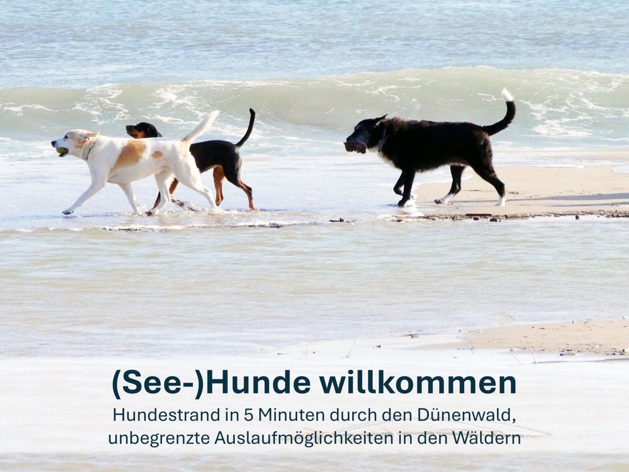 Paradies-Ambiente - Strandnah, Sauna, Kamin, Hundefreundlich Zinnowitz Exterior foto