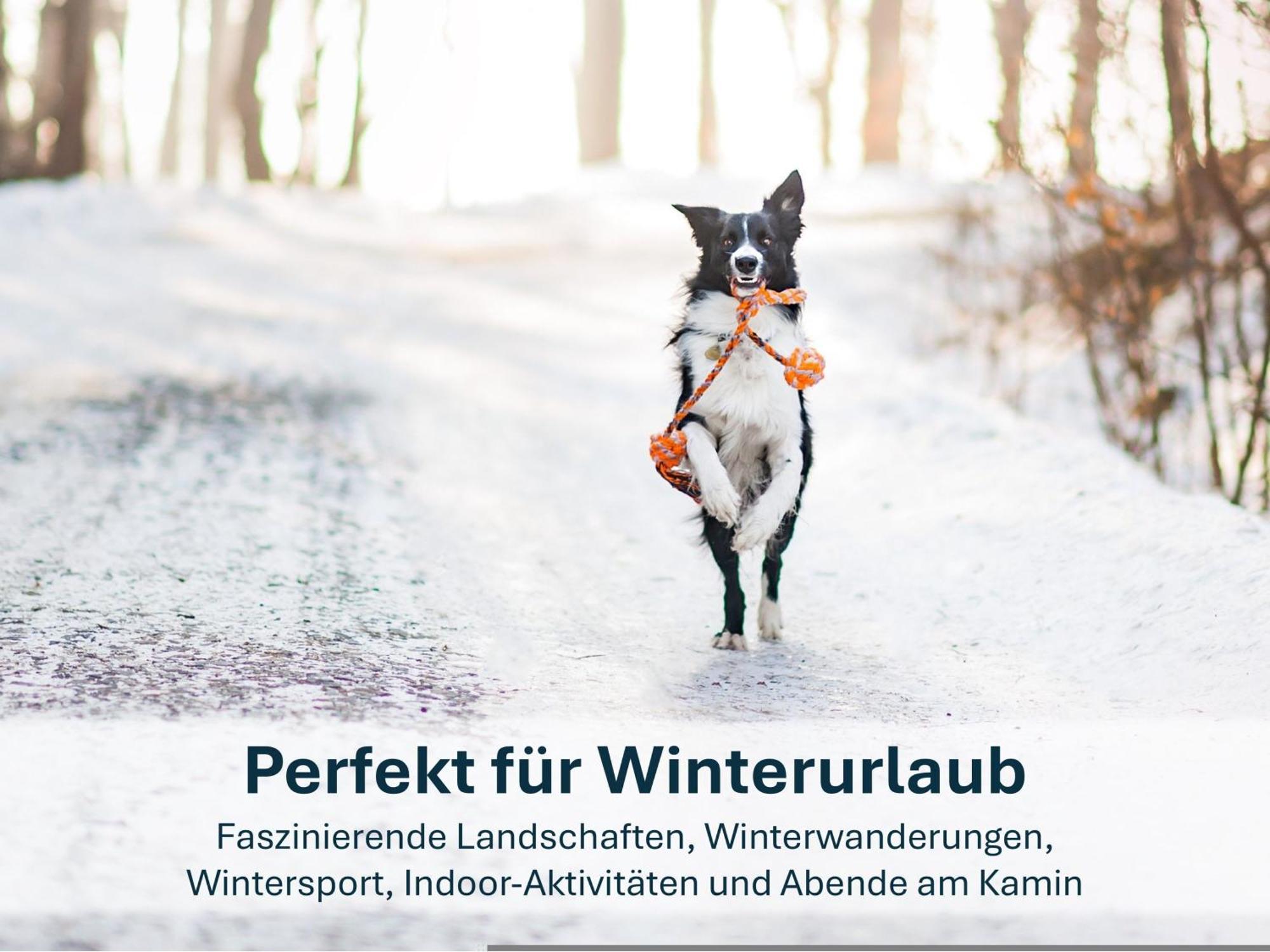 Paradies-Ambiente - Strandnah, Sauna, Kamin, Hundefreundlich Zinnowitz Exterior foto